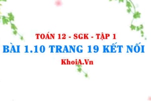 Bài 1.10 trang 19 Toán 12 tập 1 Kết nối tri thức